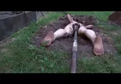 Lockige Schlampe lutscht einen Schwanz super geile pornofilme gut
